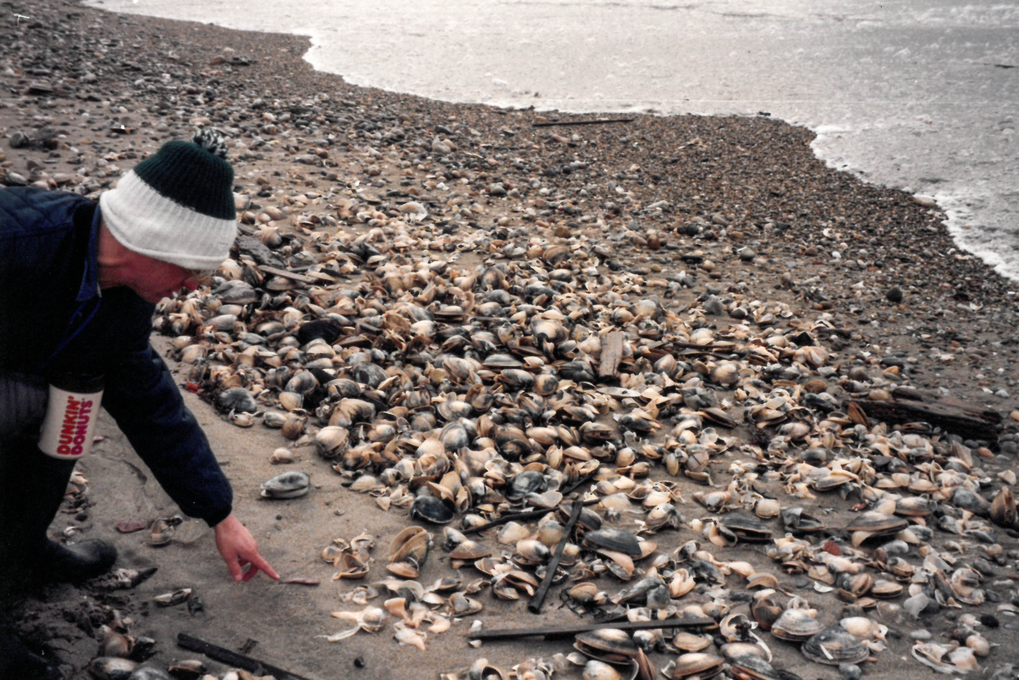 Dead shellfish after oil spill | response.restoration.noaa.gov